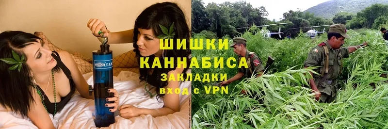 mega сайт  Кингисепп  Бошки Шишки LSD WEED 